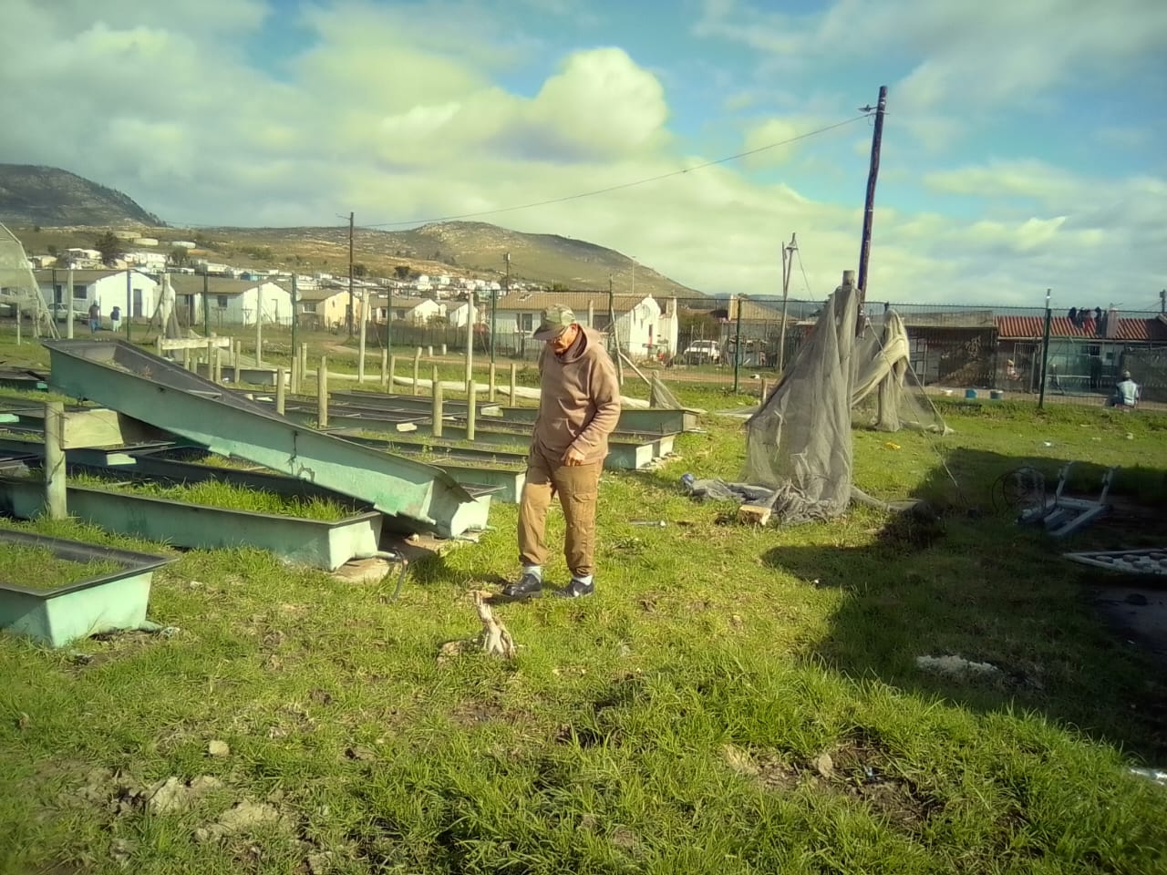 A community member surveys a Langkloof food-garden site